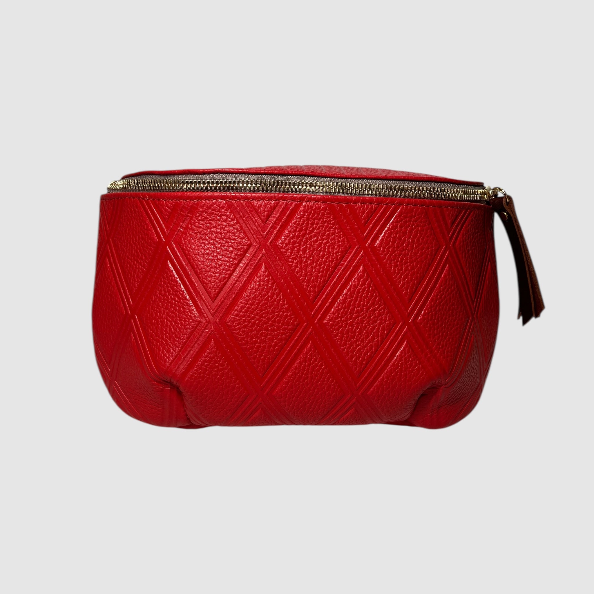 SATCHEL // CROSSBODY BAG // CHERRY CHEEKS