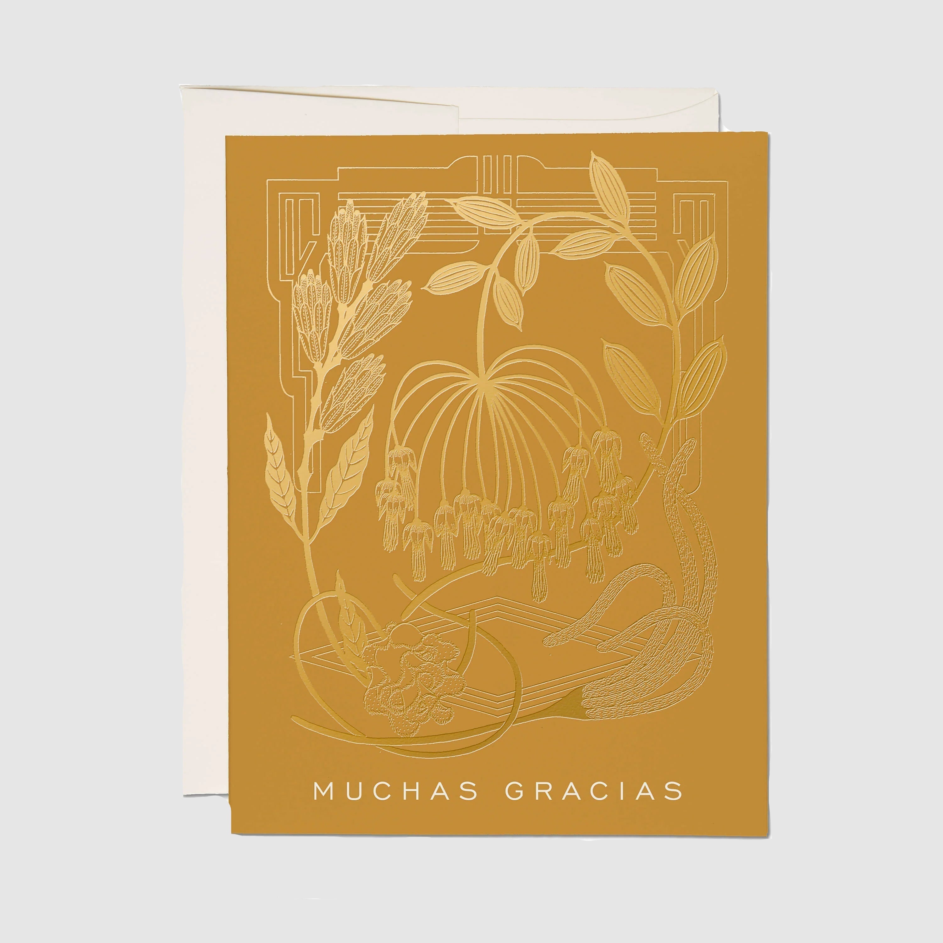 Greeting card with botanical design and 'Muchas Gracias' text on a white background