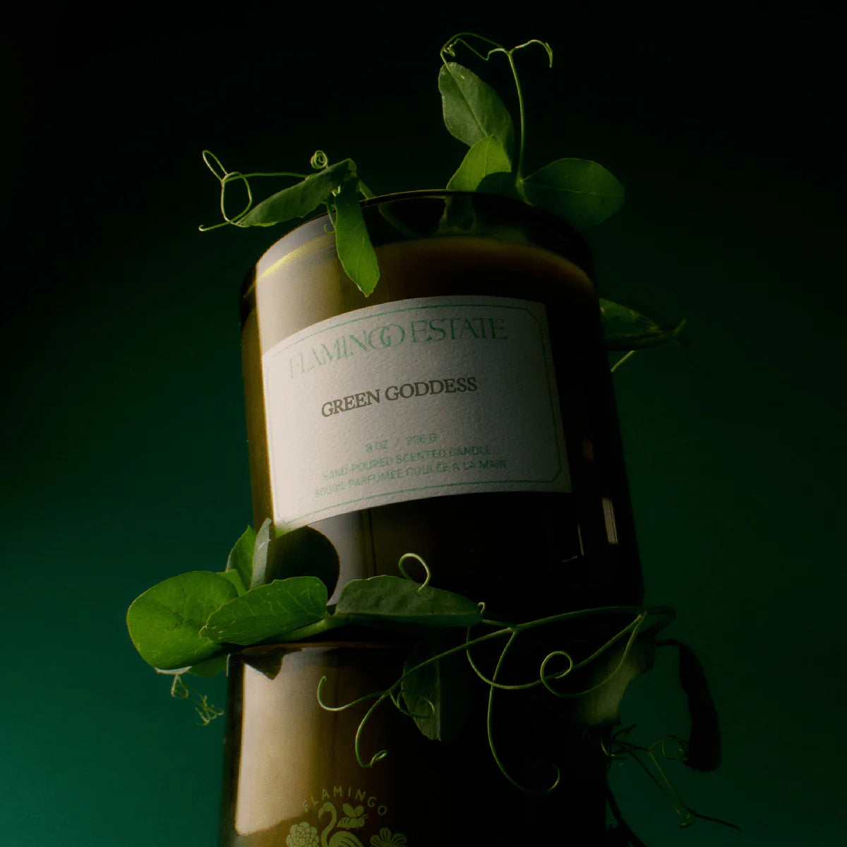Candle labeled 'Green Goddess' from Flamingo Estate with green leaves on a dark background