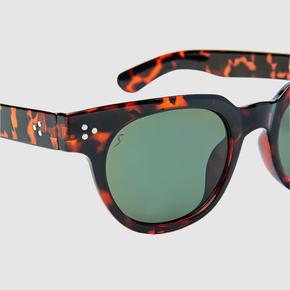 Close-up, angled, front view of tortoise and black, 'Human Being' style, Shady Spex sunglasses on a light grey background.