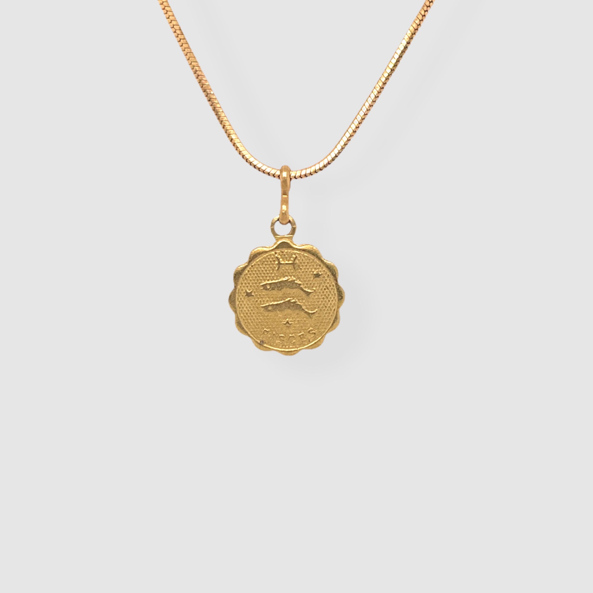 GREAT SUCCESS // PISCES // STAR SIGNS ADJUSTABLE LENGTH NECKLACE