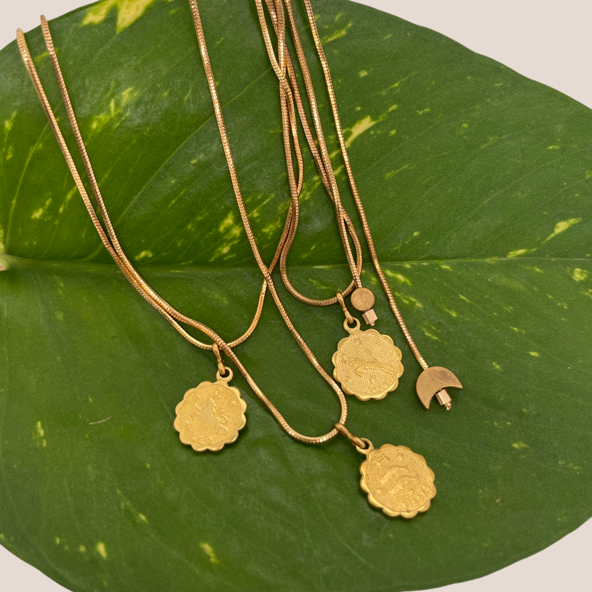 GREAT SUCCESS // CAPRICORN // STAR SIGNS ADJUSTABLE LENGTH NECKLACE