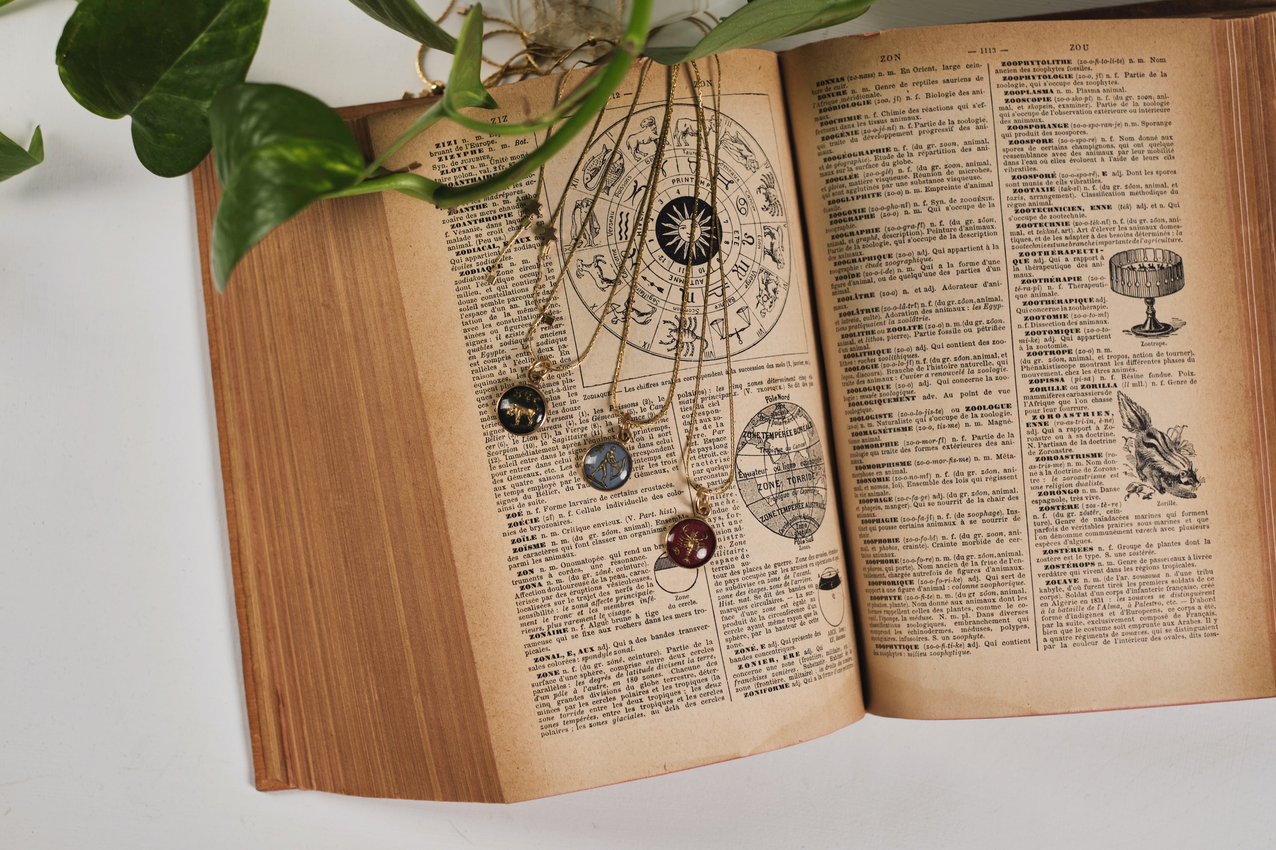 IN THE STARS INTAGLIO NECKLACE// TAURUS