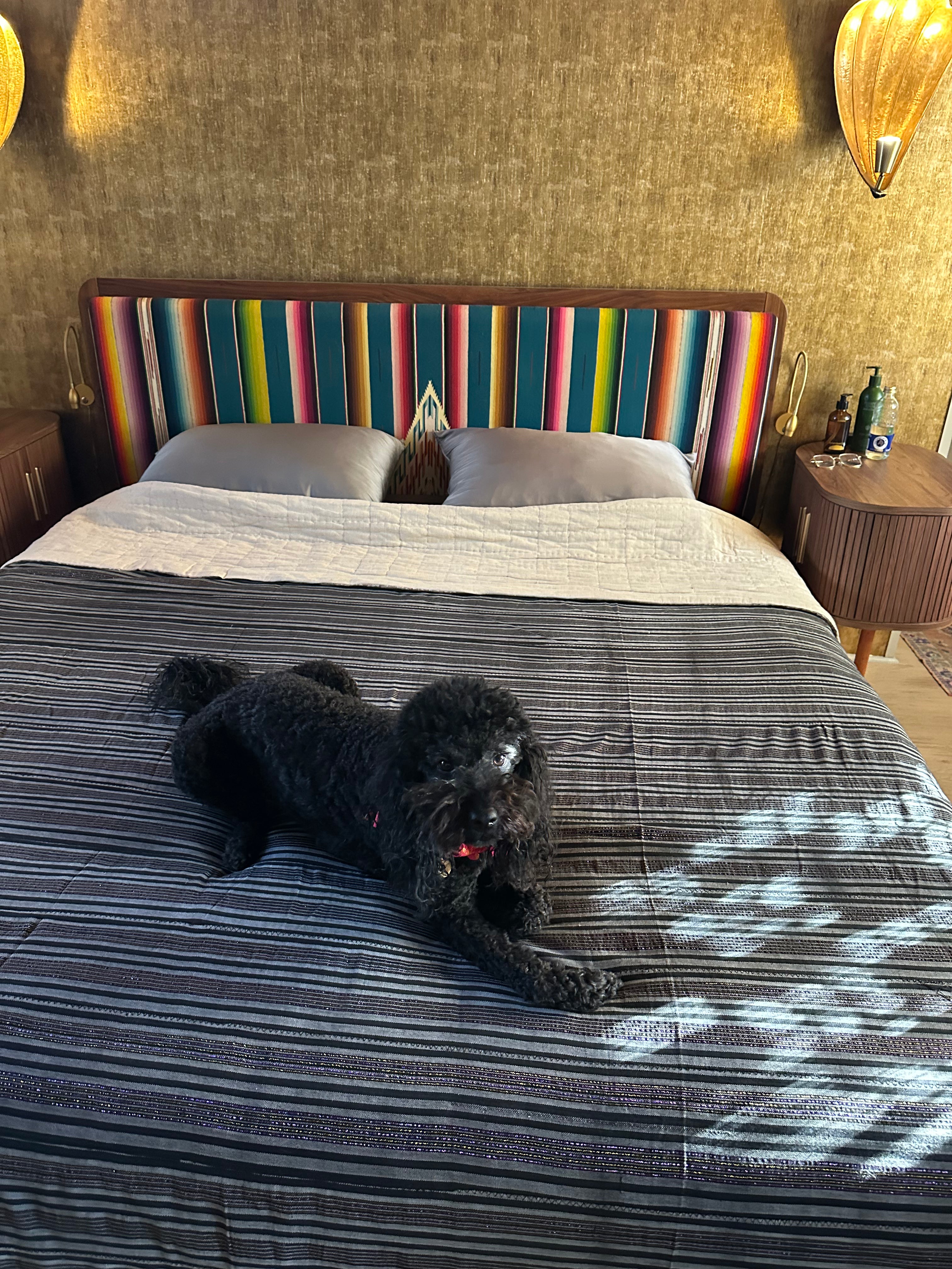 VINTAGE TEXTILE (M) // WEST AFRICA