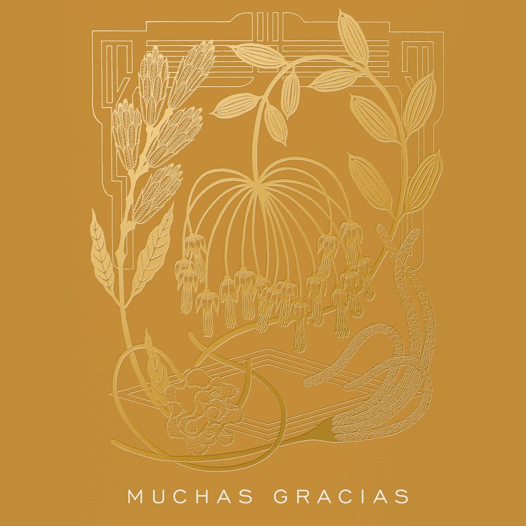 Greeting card with floral design and 'Muchas Gracias' text on a white background