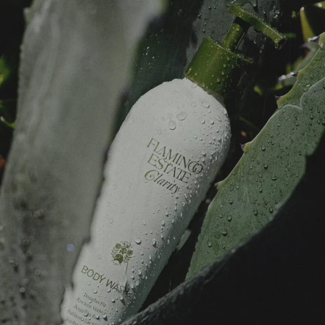 Flamingo Estate Clarity body wash bottle with green leaves in the background