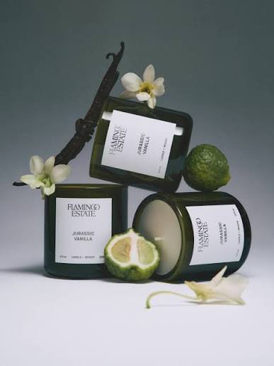 CANDLE // JURRASIC VANILLA